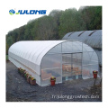 Greenhouse de tunnel végétal simple
